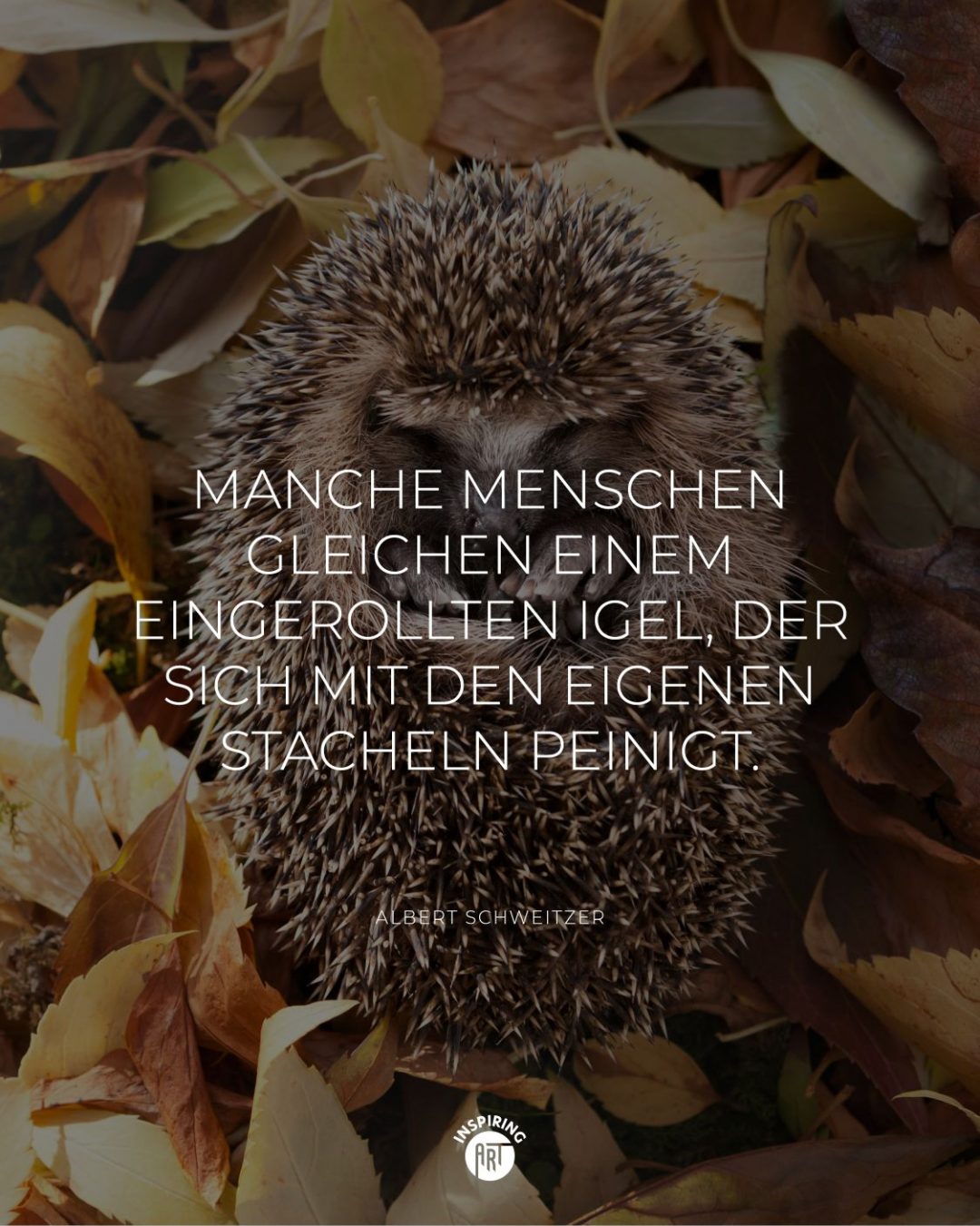 Manche Menschen gleichen einem eingerollten Igel, der sich mit den eigenen Stacheln peinigt.
