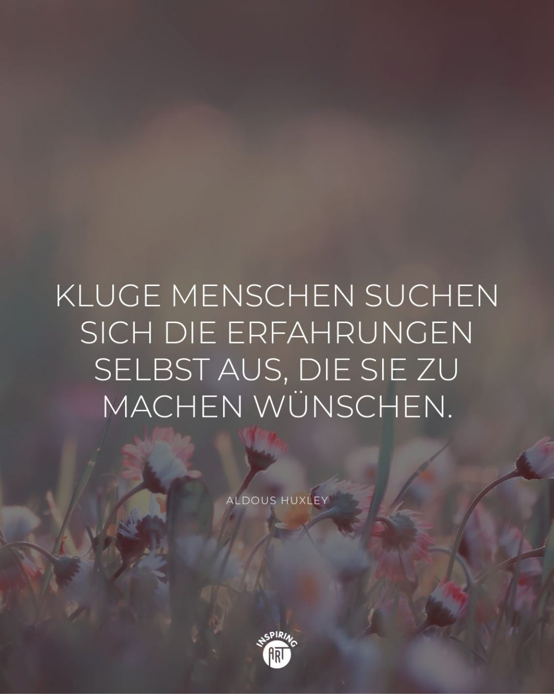 Kluge Menschen suchen sich die Erfahrungen selbst aus, die sie zu machen wünschen.