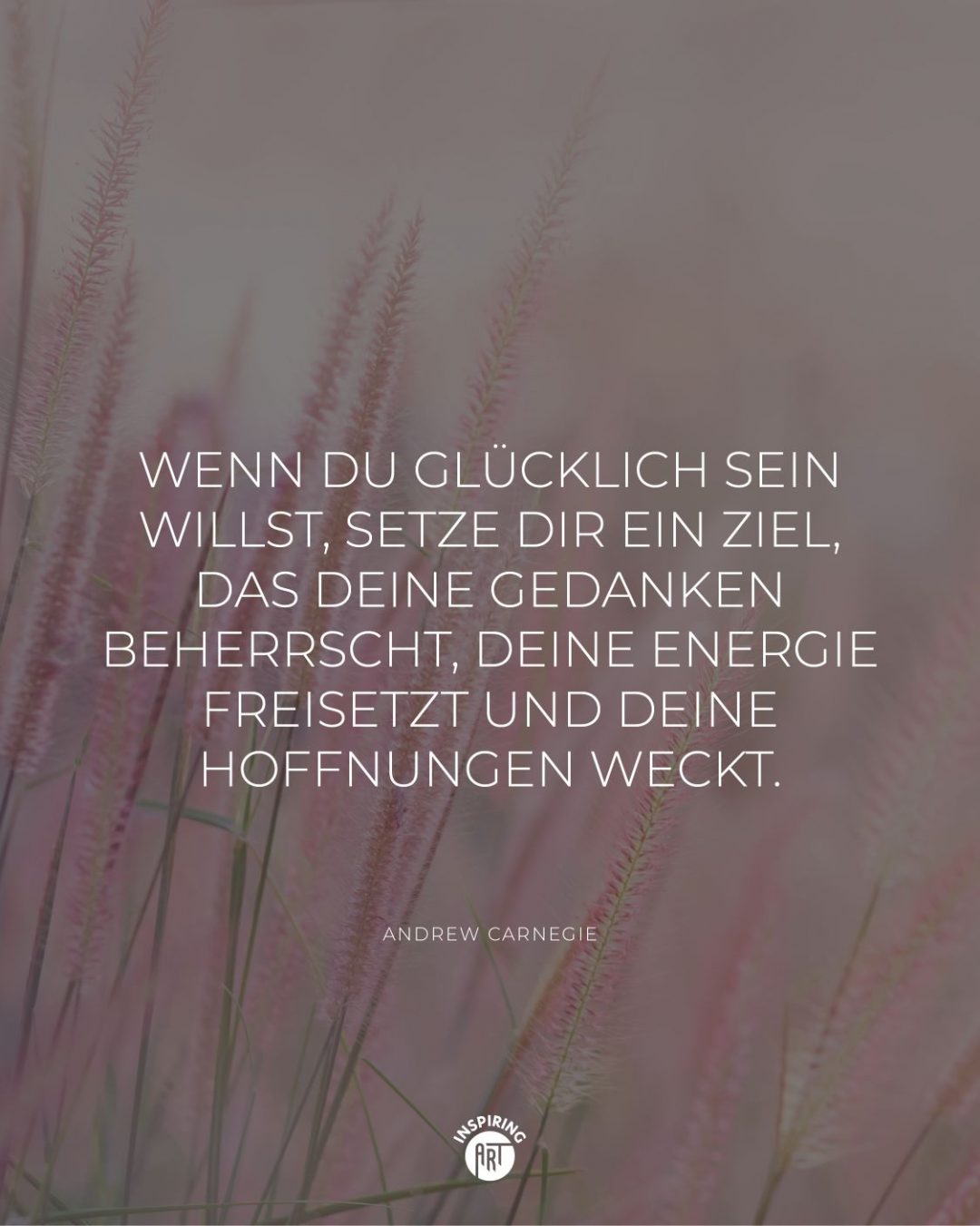 Wenn Du glücklich sein willst, setze Dir ein Ziel, das Deine Gedanken beherrscht, Deine Energie freisetzt und Deine Hoffnungen weckt.