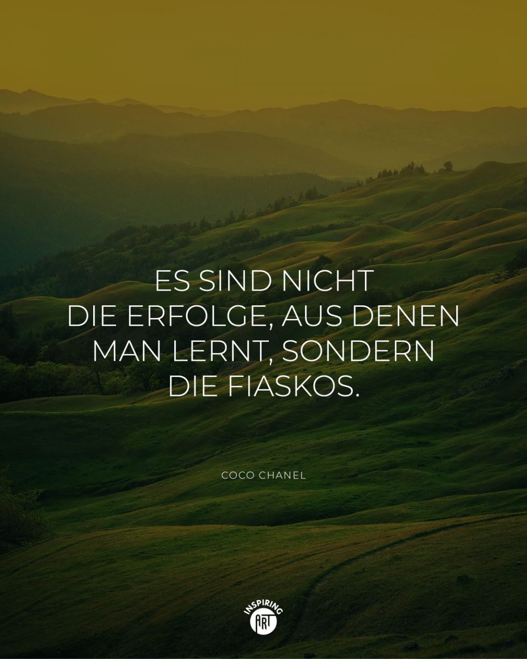 Es sind nicht die Erfolge, aus denen man lernt, sondern die Fiaskos.