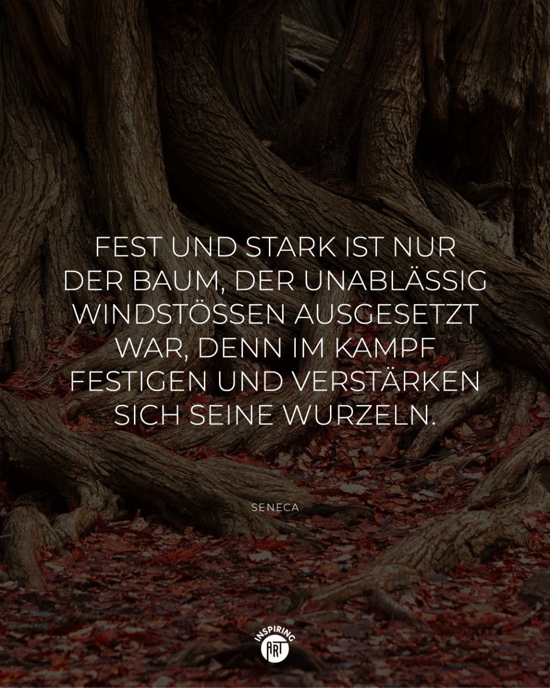 Fest und stark ist nur der Baum, der unablässig Windstößen ausgesetzt war, denn im Kampf festigen und verstärken sich seine Wurzeln.