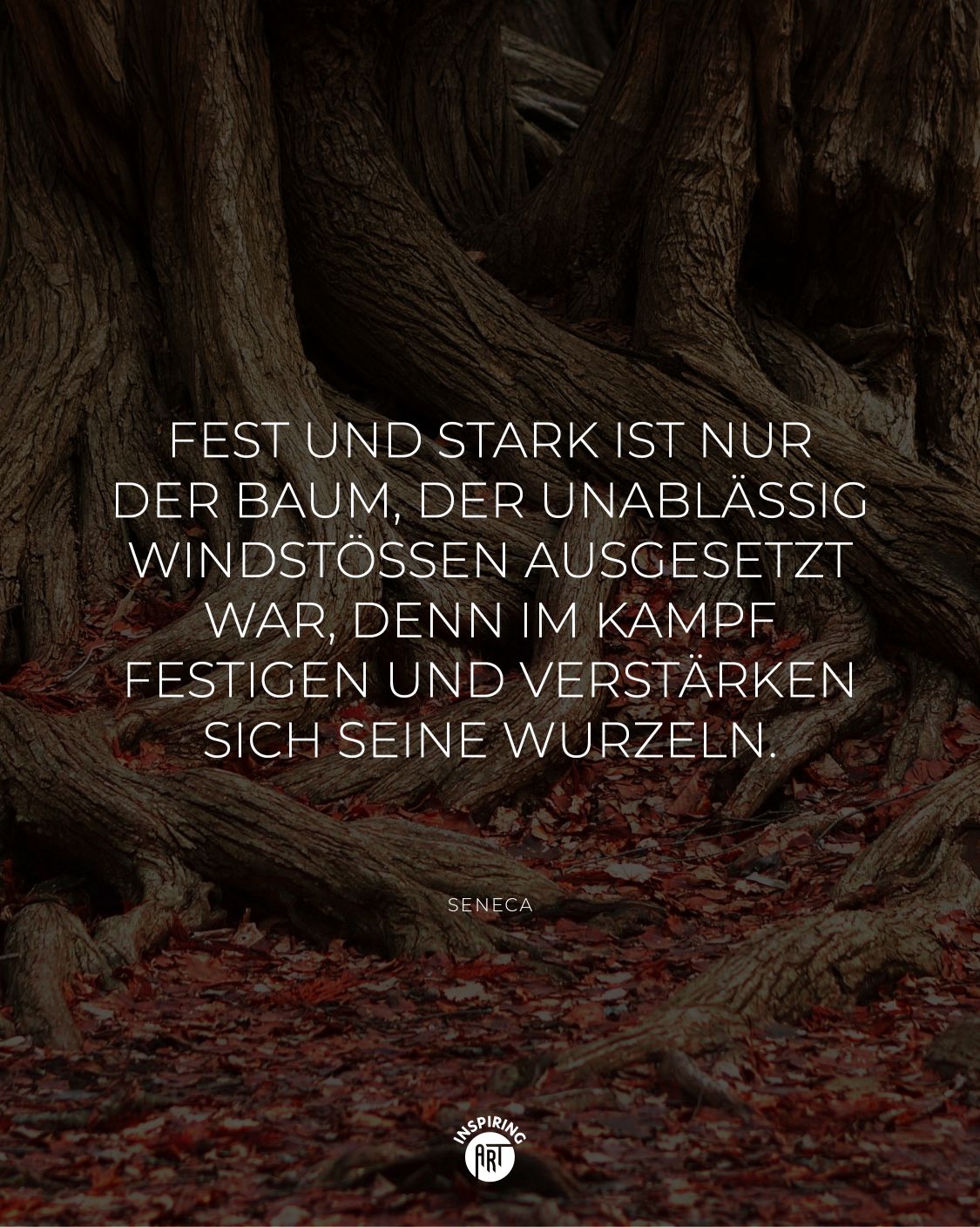 Fest und stark ist nur der Baum, der unablässig Windstößen ausgesetzt war, denn im Kampf festigen und verstärken sich seine Wurzeln.