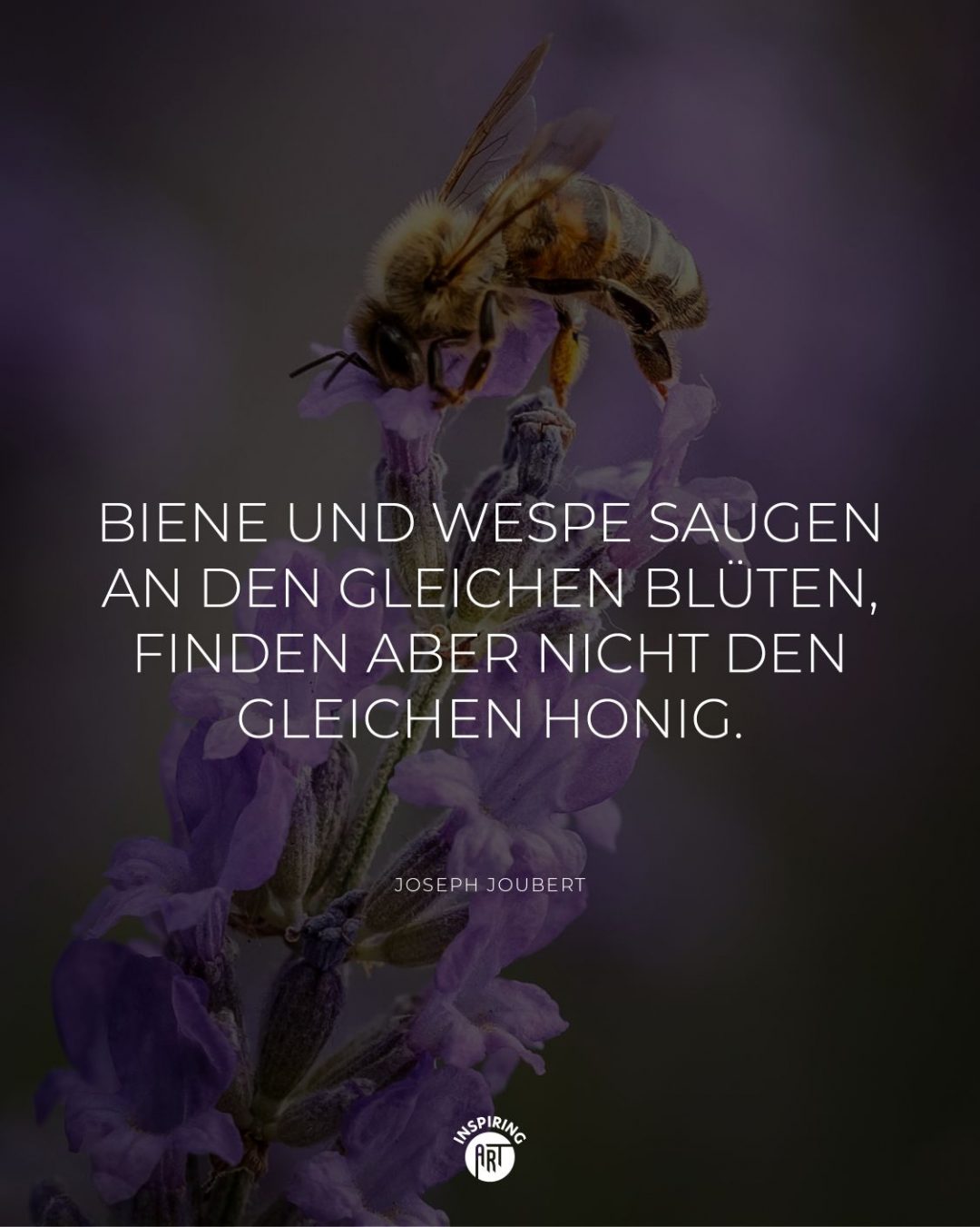 Biene und Wespe saugen an den gleichen Blüten, finden aber nicht den gleichen Honig.