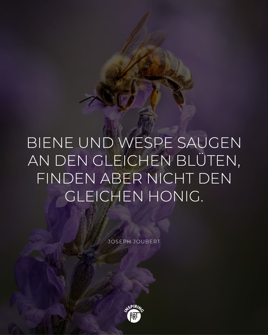 Biene und Wespe saugen an den gleichen Blüten, finden aber nicht den gleichen Honig.