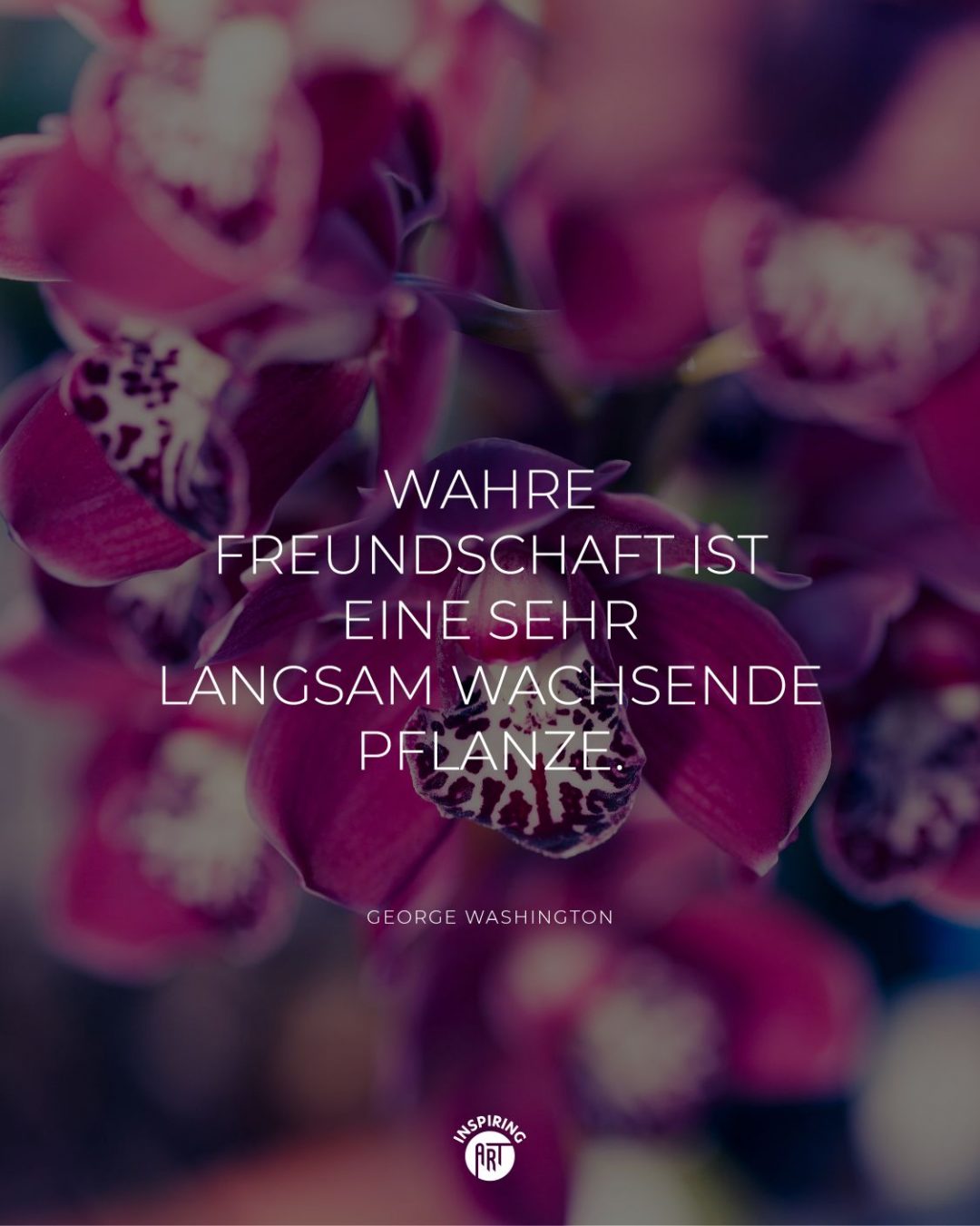 Wahre Freundschaft ist eine sehr langsam wachsende Pflanze.