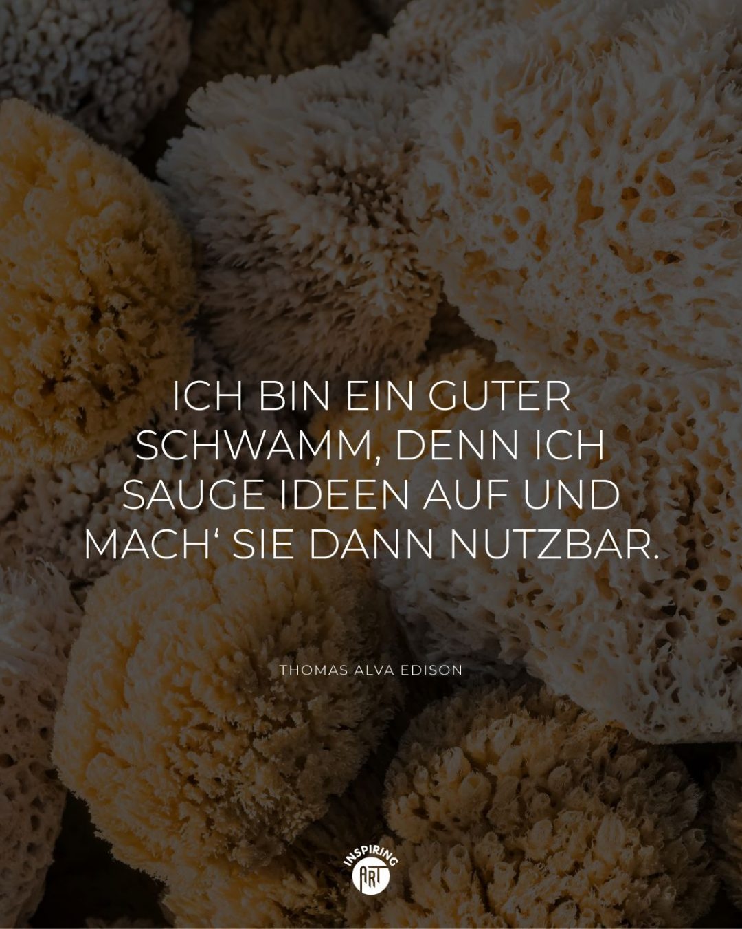 Ich bin ein guter Schwamm, denn ich sauge Ideen auf und mach‘ sie dann nutzbar.